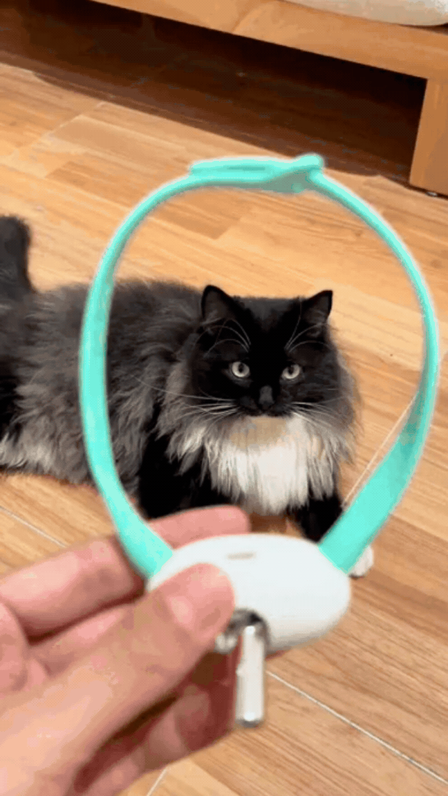 COLLAR PARA GATO LASER INTELIGENTE JUGUETE INTERACTIVO